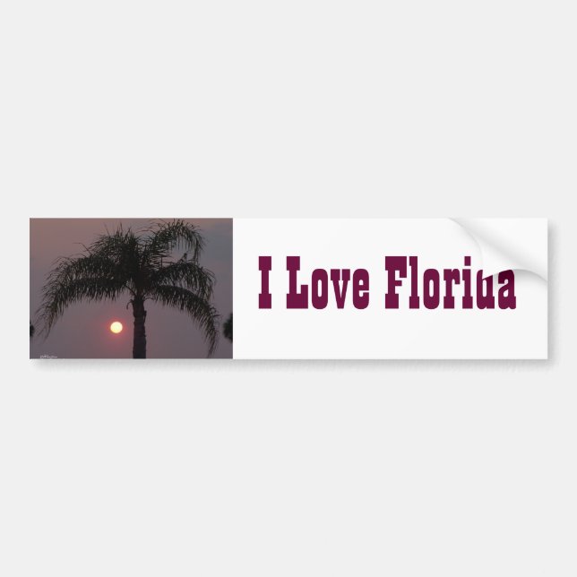 Love Florida Bumper Sticker (Front)