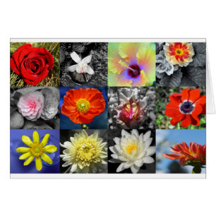 Love Flowers