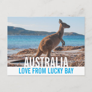 Love From Australia Kangaroo Lucky Bay Photo Postcard