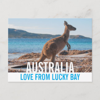 Love From Australia Kangaroo Lucky Bay Photo Postcard