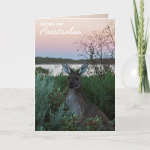Love From Australia Kangaroo Sunset Lake Custom Card