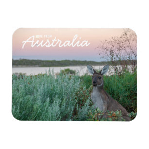 Love From Australia Kangaroo Sunset Lake Magnet
