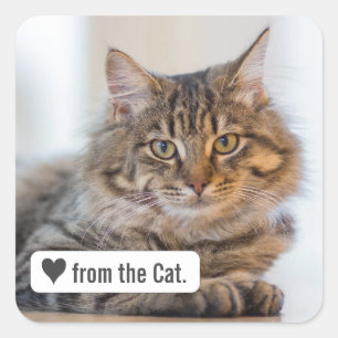 Love from Cat with Heart Square Envelope Sticker