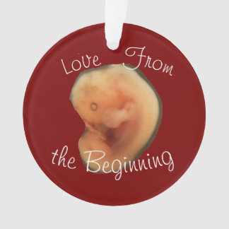 Love from the Beginning Ornament