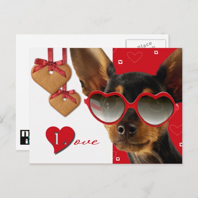 Love. Funny Dog Valentine's Day  Holiday Postcard (Front/Back)