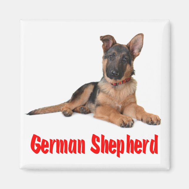 Love German Shepherd Puppy Dog Fridge Magnet (Front)