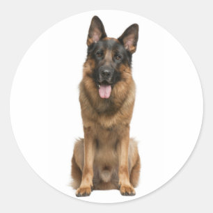 Love German Shepherd Puppy Dog Stickers