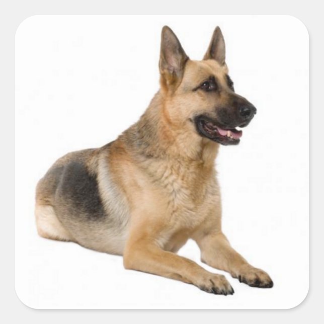 Love German Shepherd Puppy Dog Stickers (Front)
