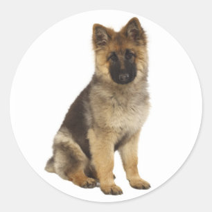 Love German Shepherd Puppy Dog Stickers