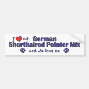 Love German Shorthaired Pointer Mix (Female Dog) Bumper Sticker