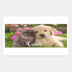 Love Golden Retriever Puppy and Kitten Stickers