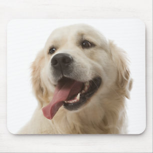 Love Golden Retriever Puppy Dog Portrait Mousepad