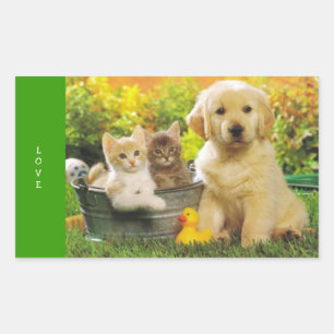 Love Golden Retriever Puppy Dog Stickers