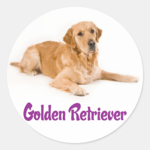 Love Golden Retriever Puppy Dog Stickers