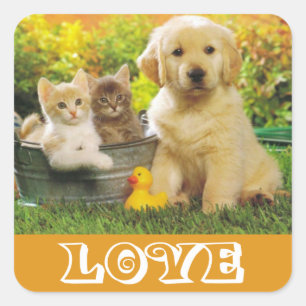Love Golden Retriever Puppy Dog Stickers