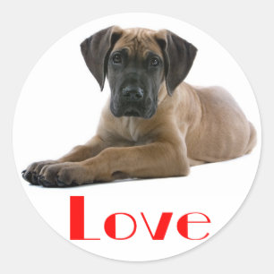 Love Great Dane Puppy Dog Sticker / Seal