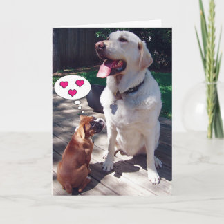 Love Greeting Card (with Dogs)