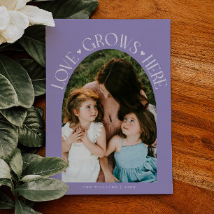 Love Grows Here Lilac Arch Valentines Day Holiday Card