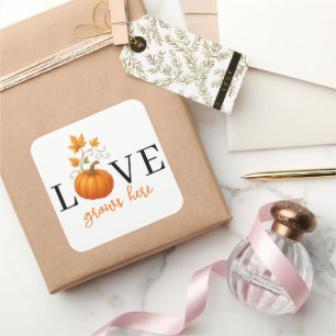 LOVE Grows Here   Pumpkin Lettering Fall  Square Sticker