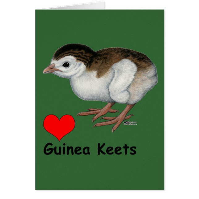 Love Guinea Keets (Front)