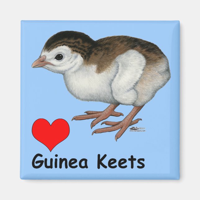 Love Guinea Keets Magnet (Front)