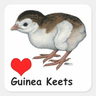 Love Guinea Keets Square Sticker