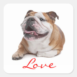Love Happy Bulldog Puppy Dog  Sticker
