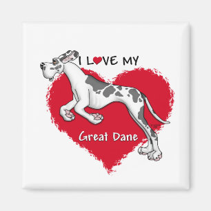Love Harlequin Great Dane UC Magnet