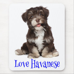 Love Havanese Puppy Dog Mousepad