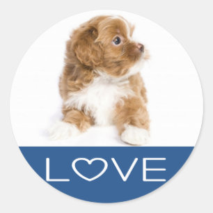 Love Havanese Puppy Dog Sticker