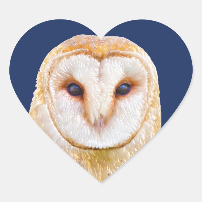 Love Heart Barn Owl Bird Animal Heart Sticker (Front)