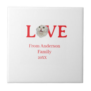 Love holidays cat photo pet family name bold lette ceramic tile