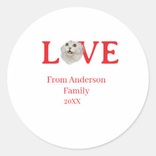 Love holidays cat photo pet family name bold lette classic round sticker