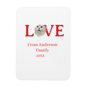 Love holidays cat photo pet family name bold lette magnet