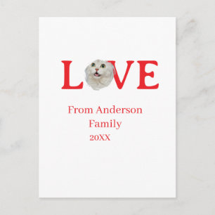Love holidays cat photo pet family name bold lette postcard