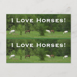 Love Horses! Bookmarkers - Customise! Postcard
