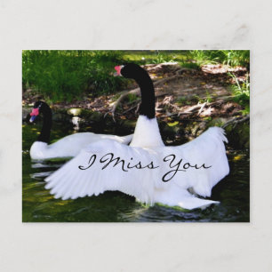 Love & Hugs_ Postcard