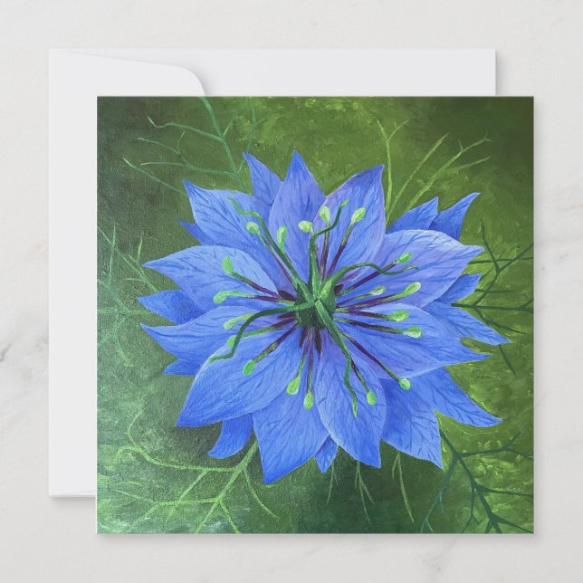 Love in a Mist (Front)