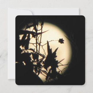 Love in the Moonlight shimmer Invitation