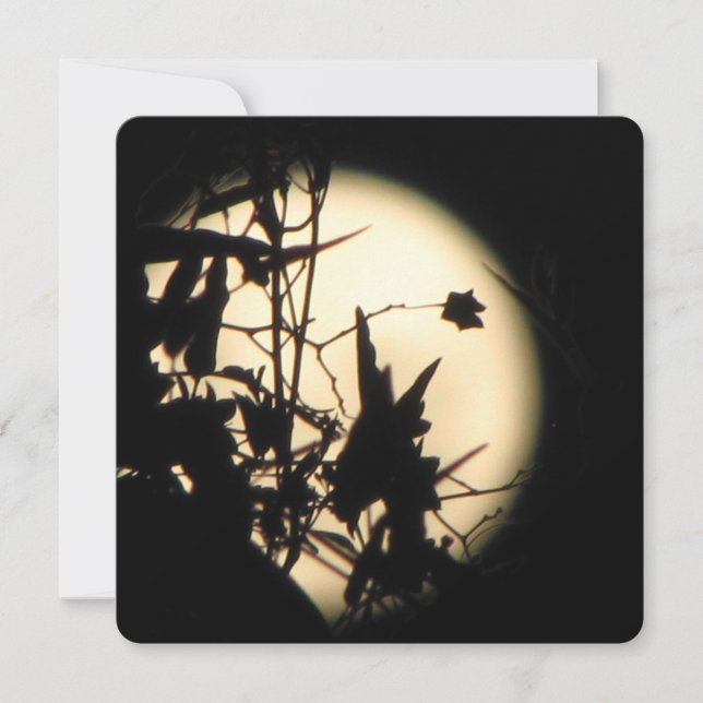 Love in the Moonlight shimmer Invitation (Front)