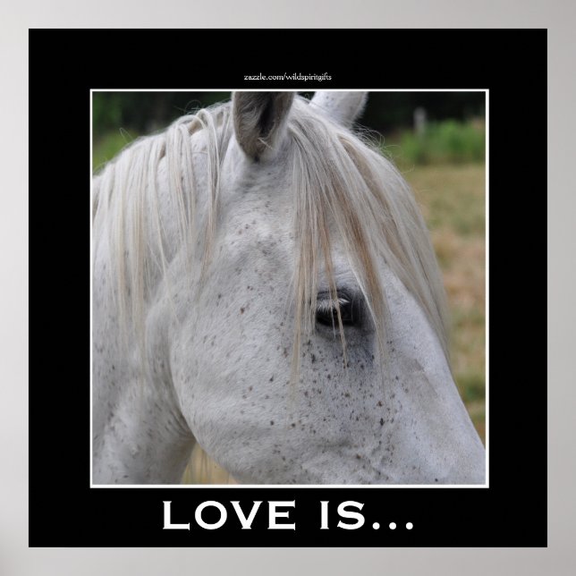 Love is... A Beautiful White Horse Photo Gift Poster (Front)