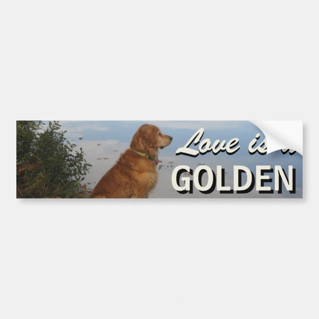 Love is a Golden Retriever Bumper Sticker (Front)