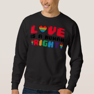 Love Is A Human Right Lgbt Pride Gay Proud Pride M Sweatshirt