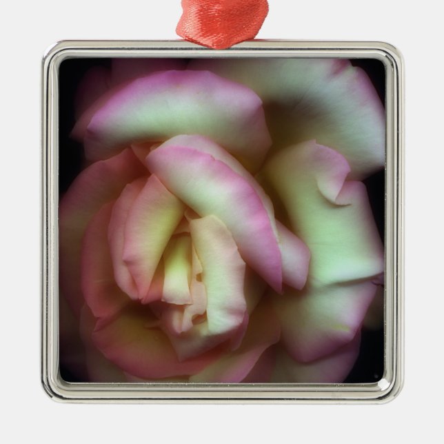 <Love is a Rose> by Nathan Griffith Metal Tree Decoration (Front)