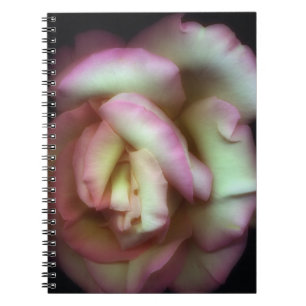 <Love is a Rose> by Nathan Griffith Notebook