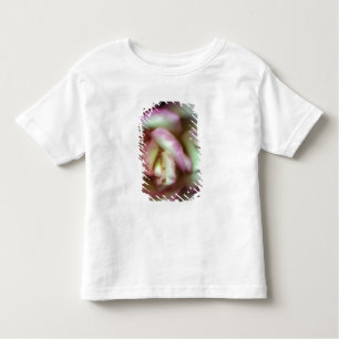 <Love is a Rose> by Nathan Griffith Toddler T-Shirt