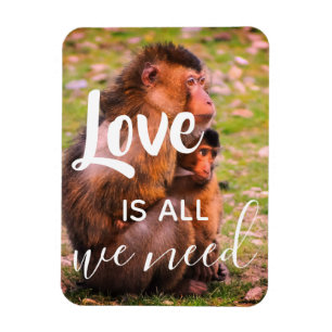 Love Is All We Need Cute Animals Wildlife Magnet