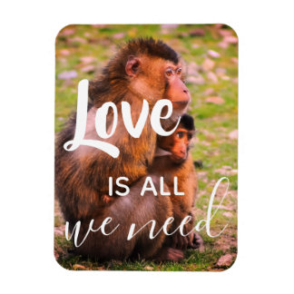 Love Is All We Need | Cute Animals Wildlife Magnet