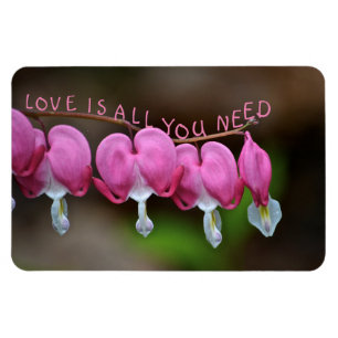 Love Is All You Need Hearts Magnet