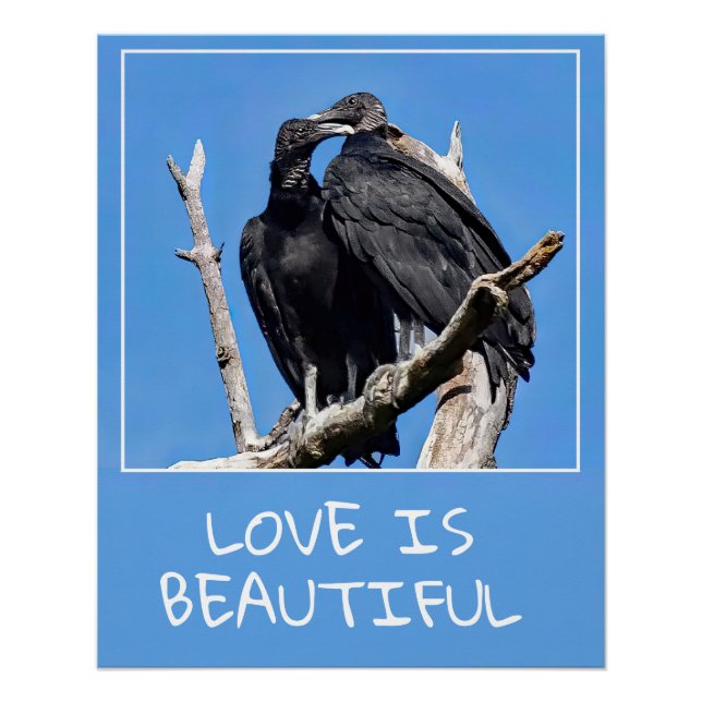Love Is Beautiful Vultures Poster (Front)